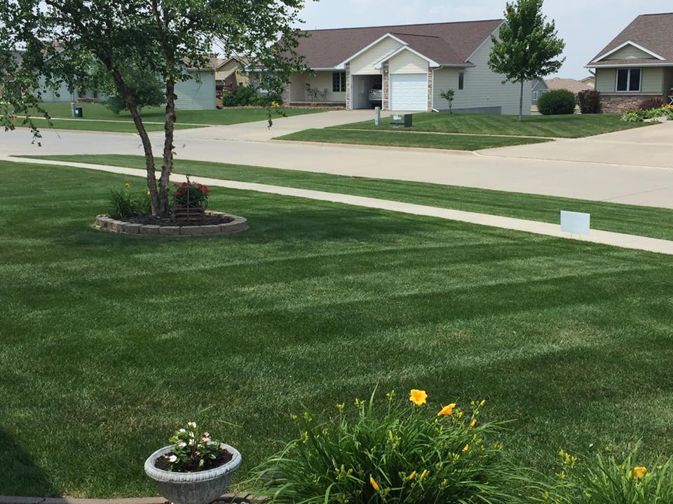 Services | Precision Lawn Care and Landscape, LLC